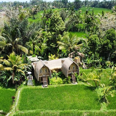 Kawig Bamboo House - Ricefield View, Eco Bamboo Home Tampaksiring Экстерьер фото