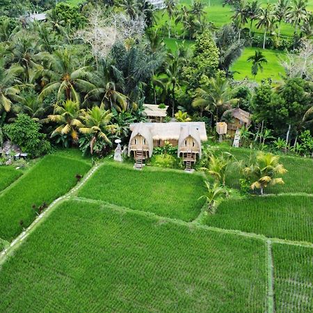 Kawig Bamboo House - Ricefield View, Eco Bamboo Home Tampaksiring Экстерьер фото