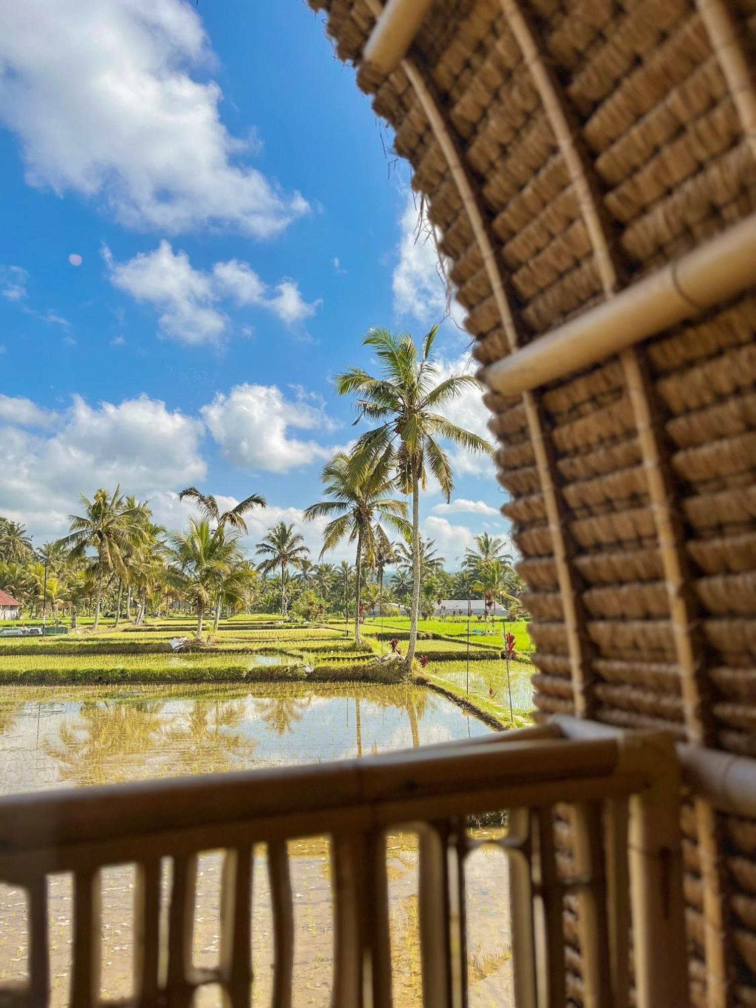 Kawig Bamboo House - Ricefield View, Eco Bamboo Home Tampaksiring Экстерьер фото