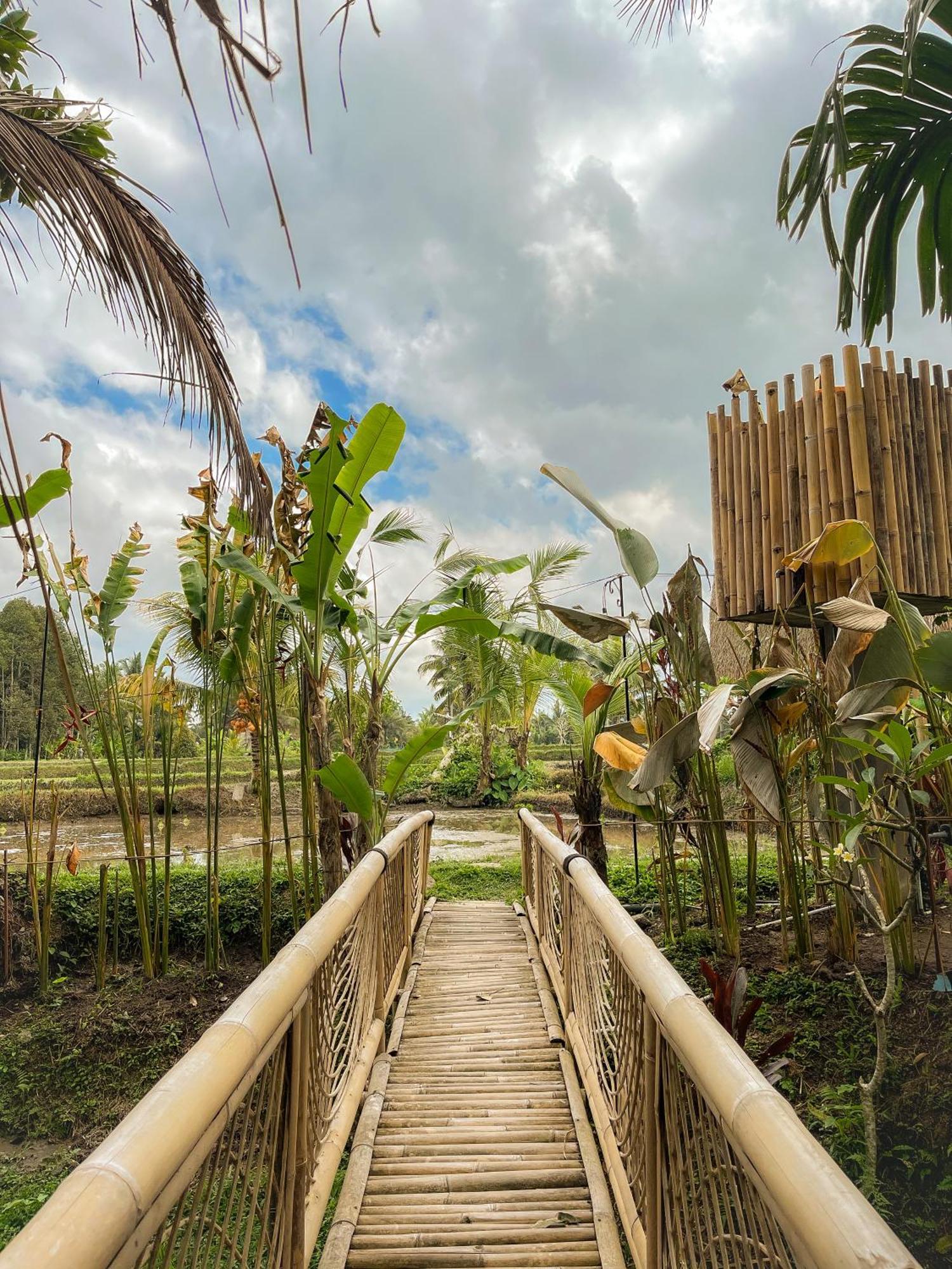 Kawig Bamboo House - Ricefield View, Eco Bamboo Home Tampaksiring Экстерьер фото