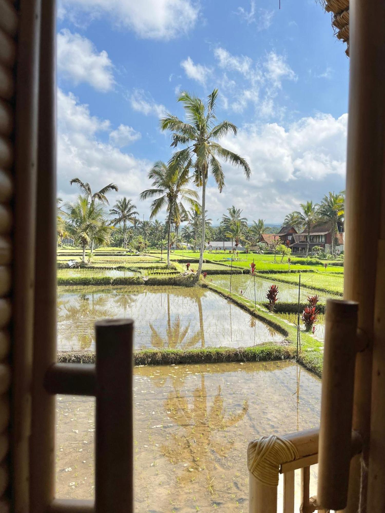 Kawig Bamboo House - Ricefield View, Eco Bamboo Home Tampaksiring Экстерьер фото