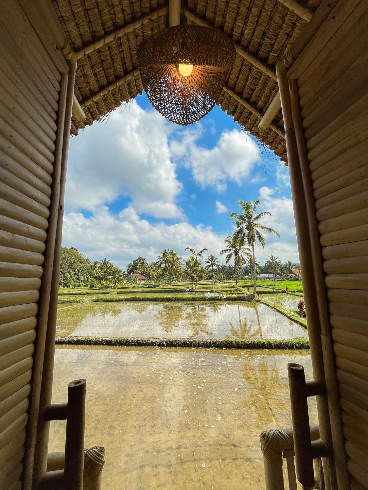 Kawig Bamboo House - Ricefield View, Eco Bamboo Home Tampaksiring Экстерьер фото