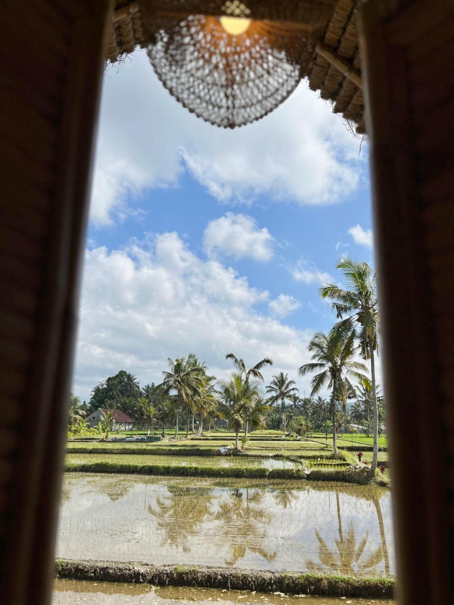 Kawig Bamboo House - Ricefield View, Eco Bamboo Home Tampaksiring Экстерьер фото