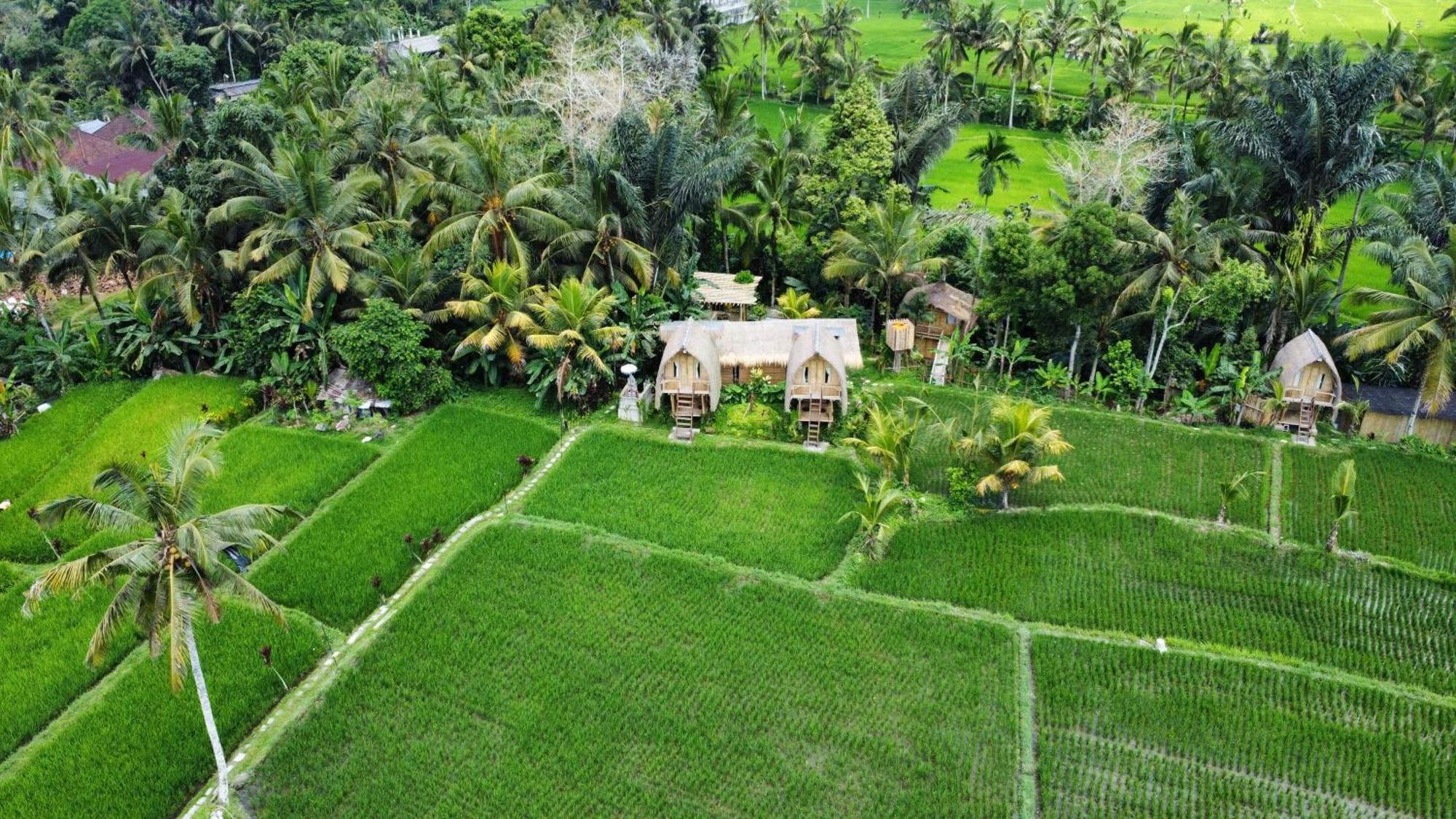 Kawig Bamboo House - Ricefield View, Eco Bamboo Home Tampaksiring Экстерьер фото