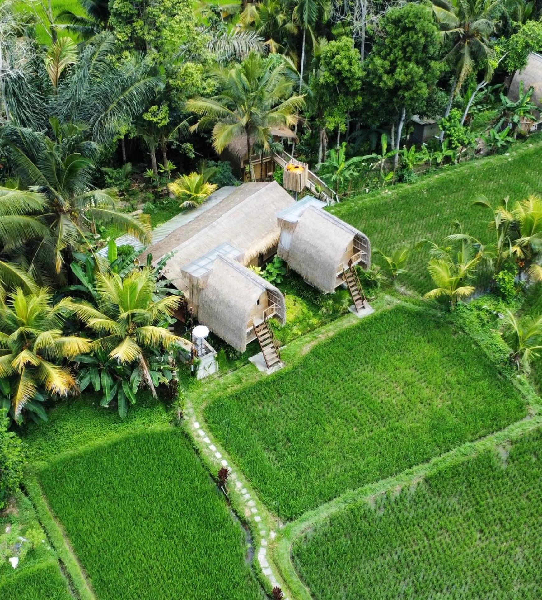 Kawig Bamboo House - Ricefield View, Eco Bamboo Home Tampaksiring Экстерьер фото