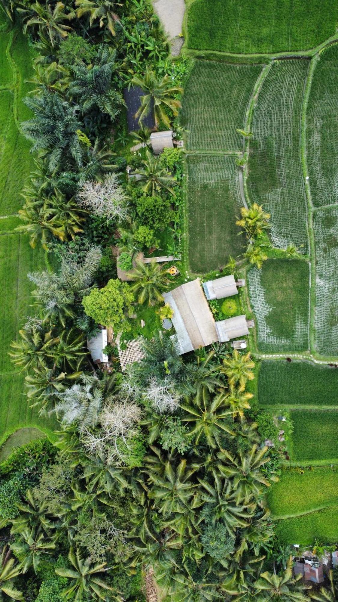 Kawig Bamboo House - Ricefield View, Eco Bamboo Home Tampaksiring Экстерьер фото